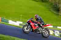 cadwell-no-limits-trackday;cadwell-park;cadwell-park-photographs;cadwell-trackday-photographs;enduro-digital-images;event-digital-images;eventdigitalimages;no-limits-trackdays;peter-wileman-photography;racing-digital-images;trackday-digital-images;trackday-photos